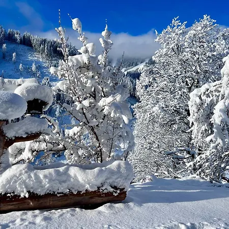 Alpesi faház Alm Seasons Premium - Ganzes *