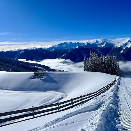 Alm Seasons Premium - Ganzes * Saalbach Hinterglemm