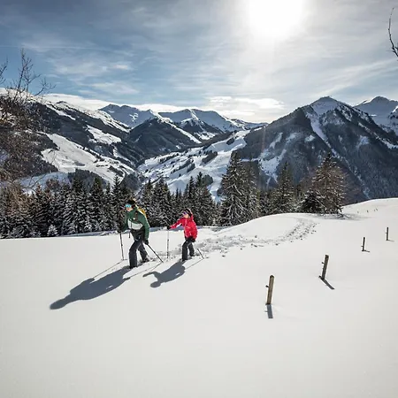 Alm Seasons Premium - Ganzes Alpesi faház