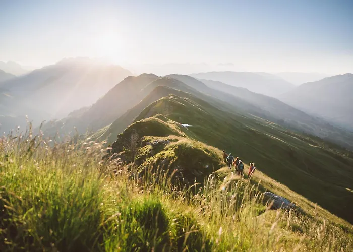 Alm Seasons Premium - Ganzes *