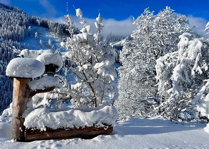 Domek alpejski Alm Seasons Premium - Ganzes *