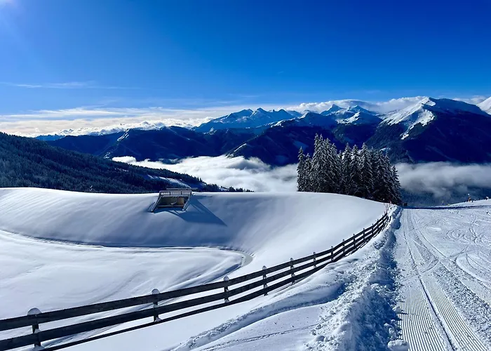 Alm Seasons Premium - Ganzes * Saalbach-Hinterglemm