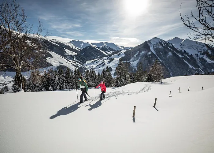 Alm Seasons Premium - Ganzes Domek alpejski