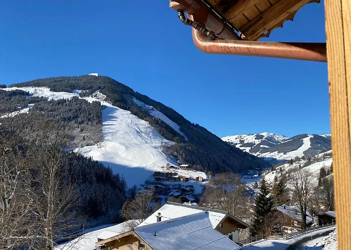 Alm Seasons Premium - Ganzes Domek alpejski *