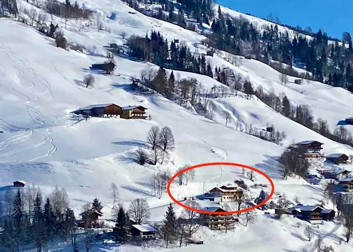 Alm Seasons Premium - Ganzes * Saalbach-Hinterglemm